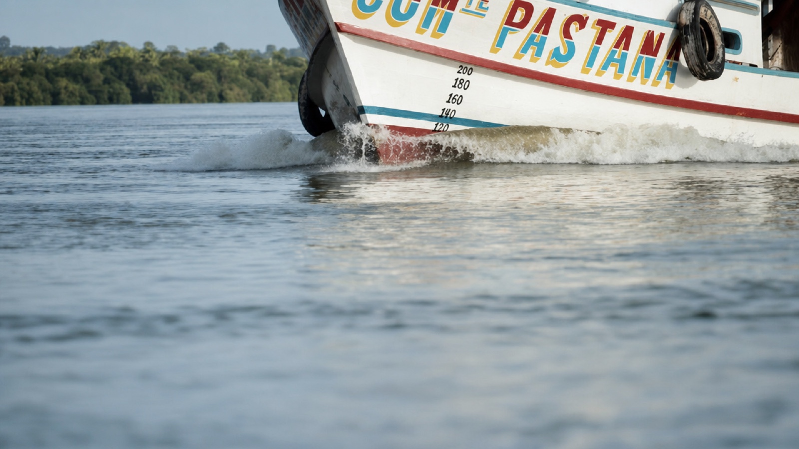 El protector de delfines