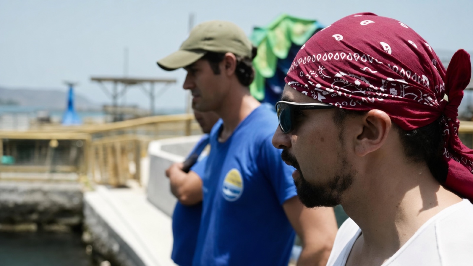 El protector de delfines